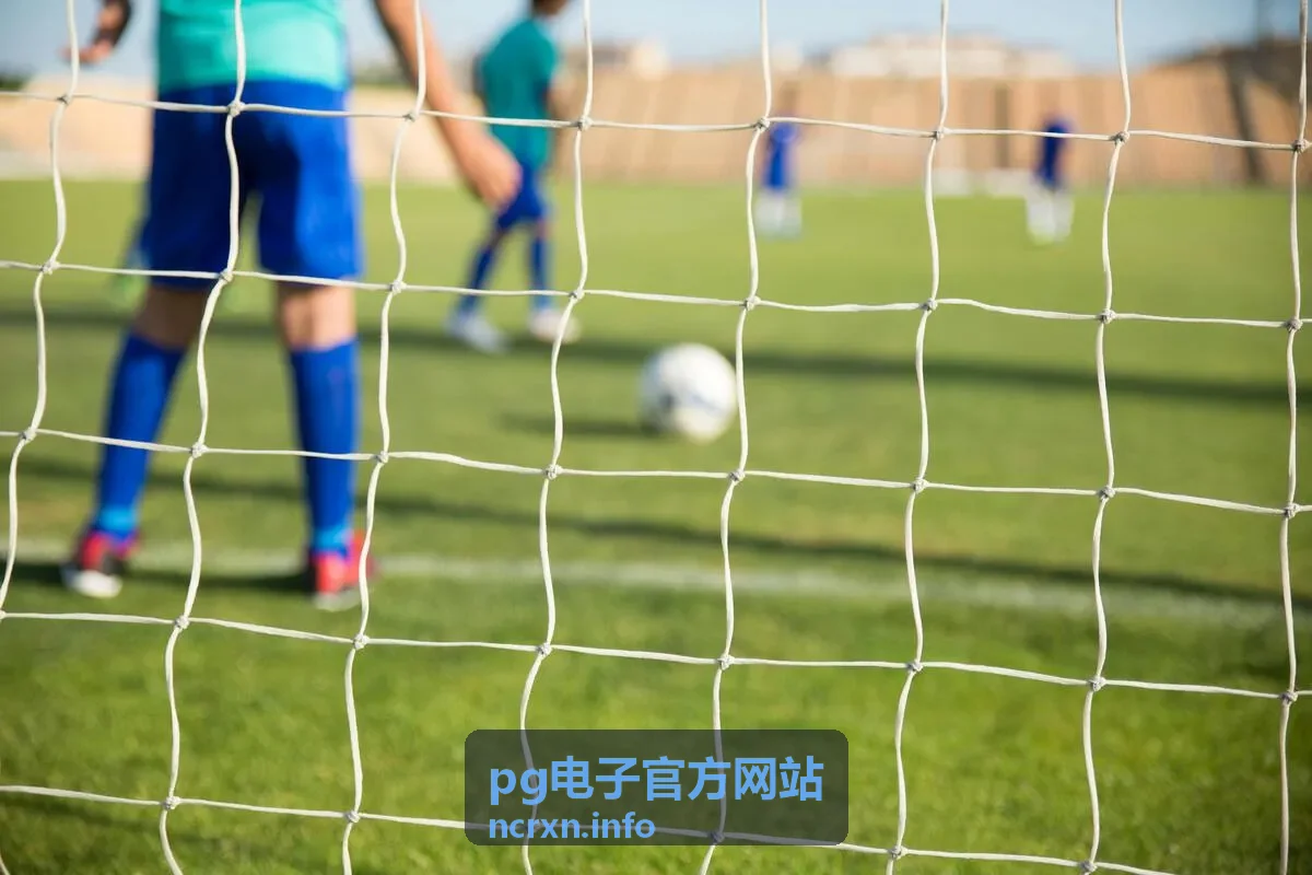 pg电子官方网站 新手入门指南